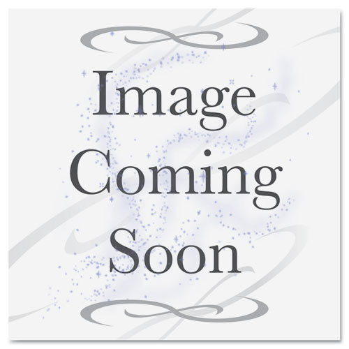 Tape,pntrs,48mmx54.8m,be