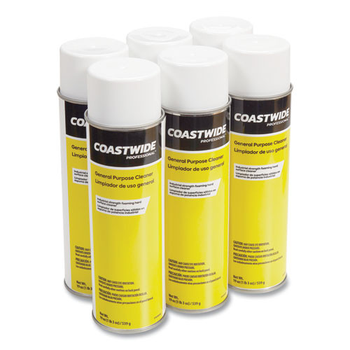 Cleaner,frsh Cln,19oz,6