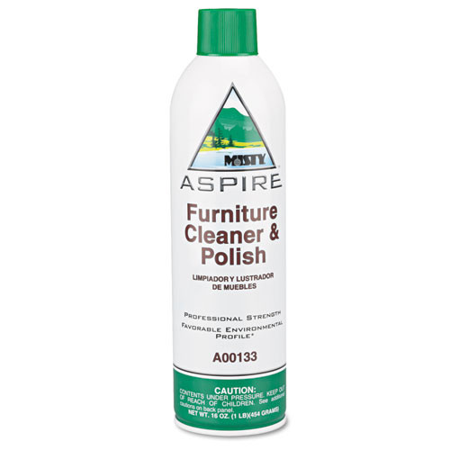 Polish,furn,16oz Arsl Can