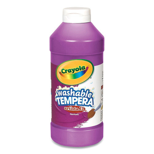 Paint,lqd,tmpra,16oz,vlet