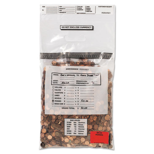 Bag,coin,tote,100/bx,cr