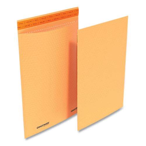 Mailer,slfsl,11.25x15,100