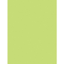 Pacon Kaleidoscope Multi-Purpose Paper - Letter - 8.50" x 11" - 24 lb Basis Weight - 500 Sheets/Pack - Multi-Purpose Paper - Lime Green