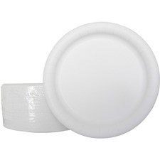 AJM Coated Paper Dinnerware Plates - Disposable - White - 125 / Pack