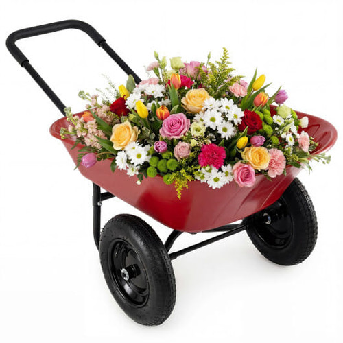 2 Tire Heavy-duty Dolly Utility Cart Wheelbarrow Garden Cart-Red - Color: Red D681-GT4665RE