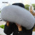 Color: green, Size: M - 100% Real Fox Fur Collar Winter Down Coat Jacket Hood Decoration Fur Collar F640-12000043055503955 Color: green, Size: M - 100% Real Fox Fur Collar Winter Down Coat Jacket Hood Decoration Fur Collar F640-12000043055503955