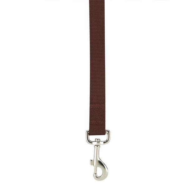 Casual Canine Nylon Leash Leads 4 ft x 5/8 in Ultra Violet N274-BP01ZM2392_44_94