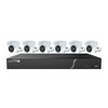 Speco 8 Channel, 2TB Recorder w\/6 4MP Turret Cameras [ZIP86T2]