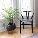 Frida Dining Chair - Matte Black