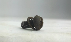 Original Robbins & Myers Peacock Modernistic Cage/Guard Screw