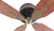Beautiful Late 1800's Western Electric "Standard" DC Ceiling Fan