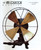 Rare Specialty MFG Co. 12" Junior Water Fan Professionally Restored Rare Specialty MFG Co. 12" Junior Water Fan Professionally Restored
