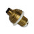 Porcelain Brass Screw in Plug H.T.P. Co. With Knurled Bushing