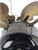 Circa 1914  9" Emerson Type  21645 Oscillating Desk Fan Original Finish