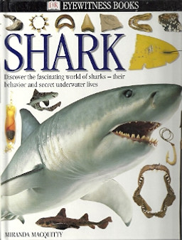 Shark (ID4170)
