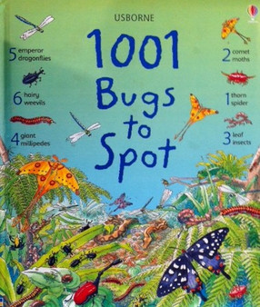 1001 Bugs To Spot (ID8791)