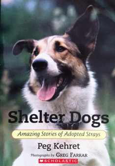 Shelter Dogs - Amazing Stories Of Adopted Strays (ID12119)