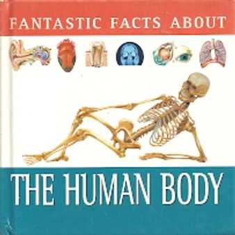 Fantastic Facts About The Human Body (ID6038)