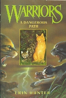 A Dangerous Path (ID4197)