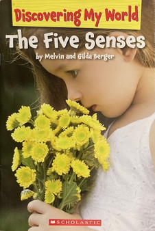 The Five Senses (ID17201)