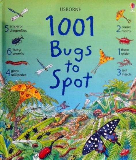 1001 Bugs To Spot (ID8791)