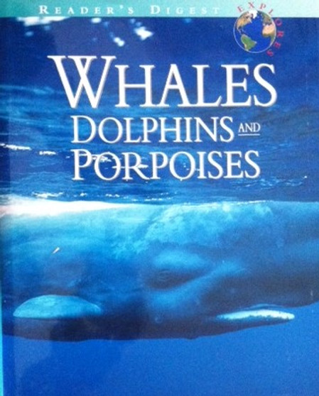 Whales Dolphins And Porpoises (ID11253)
