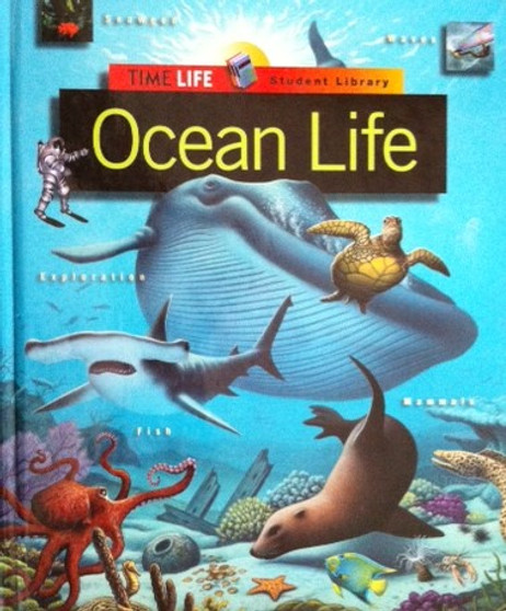 Ocean Life (ID11315)