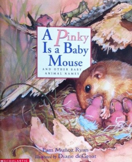 A Pinky Is A Baby Mouse And Other Baby Animal Names (ID11906)