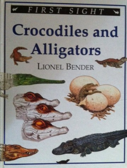 Crocodiles And Alligators (ID13852)