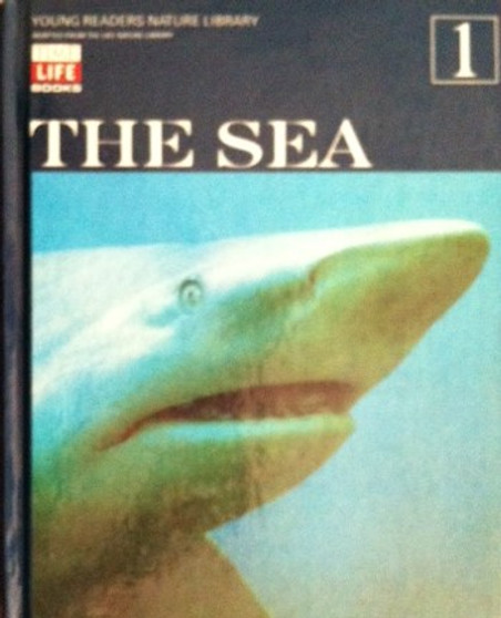 The Sea (ID14458)