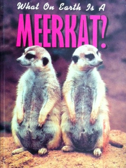 What On Earth Is A Meerkat? (ID14232)