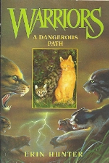 A Dangerous Path (ID4197)