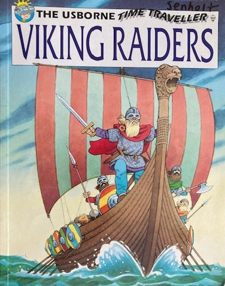 Viking Raiders (ID17323)