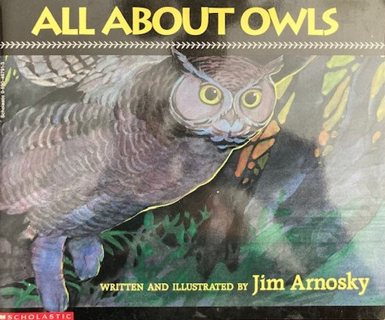 All About Owls (ID17657)