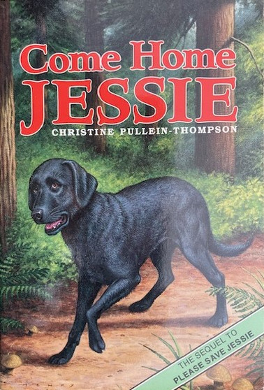 Come Home Jessie (ID17796)