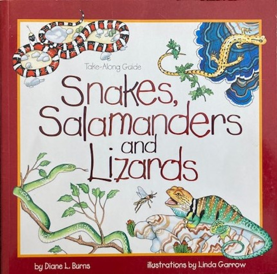 Snakes, Salamanders And Lizards (ID17645)