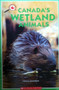 Canadas Wetland Animals (ID7689)