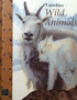 Canadian Wild Animals (ID7859)