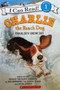 Charlie The Ranch Dog - Charlies Snow Day (ID9160)