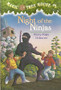 Night Of The Ninjas (ID4824)