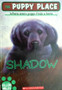 Shadow (ID8655)