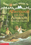 Afternoon On The Amazon (ID3209)