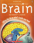 Usborne Understanding Your Brain Internet-linked - Lifting The Lid On Whats Inside Your Head (ID6835)
