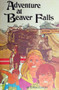 Adventure At Beaver Falls (ID10667)