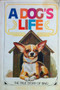 A Dogs Life -  The True Story Of Ring (ID12126)