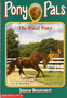 The Blind Pony (ID295)