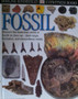 Fossil (ID13850)