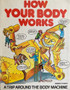How Your Body Works (ID15058)