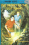 The Secret Of The Lost Tunnel (glossy Cover) (ID6801)