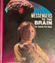 Messengers To The Brain - Our Fantastic Five Senses (ID15772)